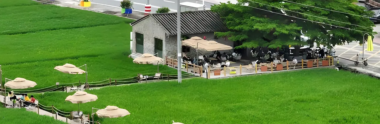 藏在恩平稻田里的咖啡香 | 牛江镇昌梅村游玩攻略